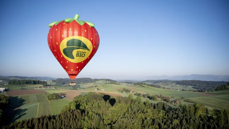 HB-BIO Migros Bio Erdbeere